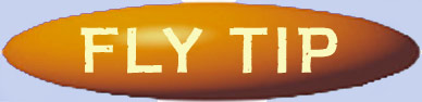 Ttip.jpg (10349 bytes)