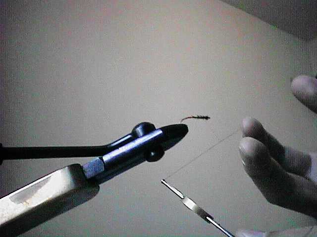 finger2.jpg (23134 bytes)