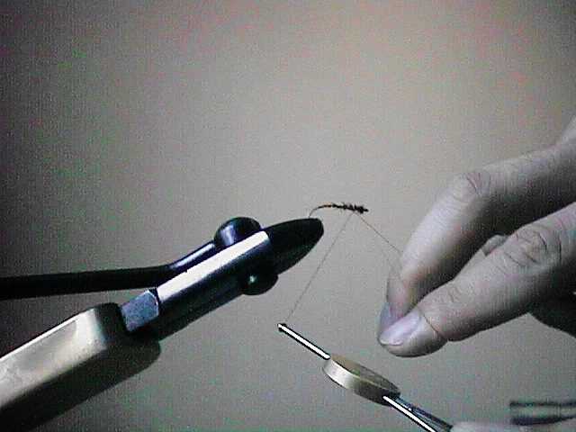 finger3.jpg (24483 bytes)