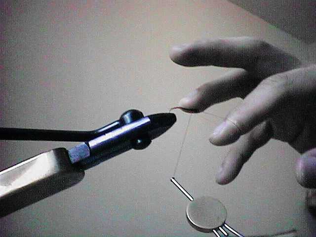 finger4.jpg (25974 bytes)