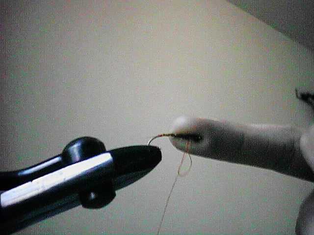 finger5.jpg (23220 bytes)