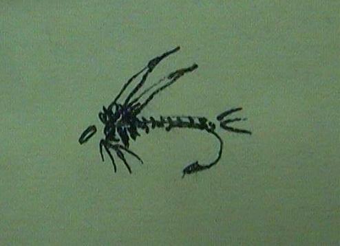 sketch2.JPG (19927 bytes)